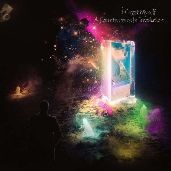 Cover art for A Countenance in Involution